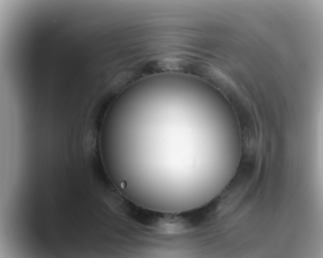 X0000089890603200707051229