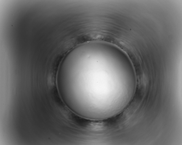 X0000089890606200707051229