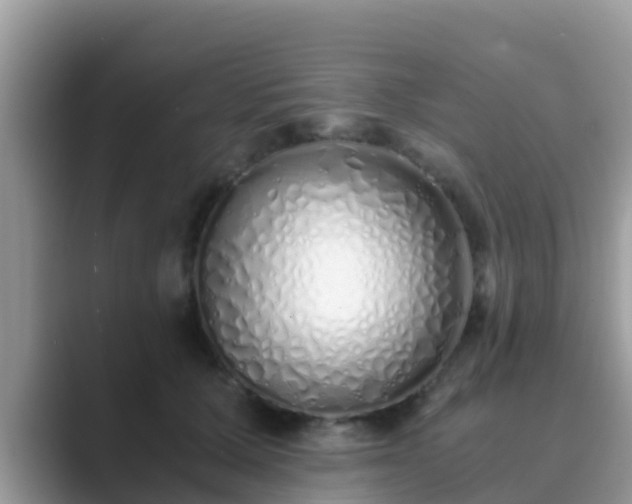 X0000089890607200707051229