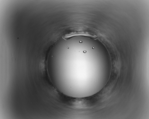 X0000089890612200707051229