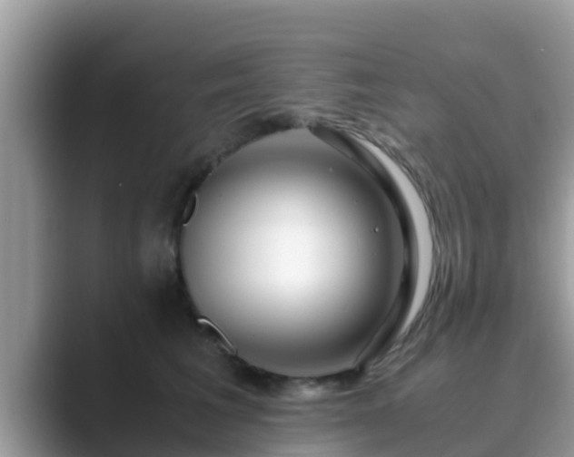 X0000089890613200707051229