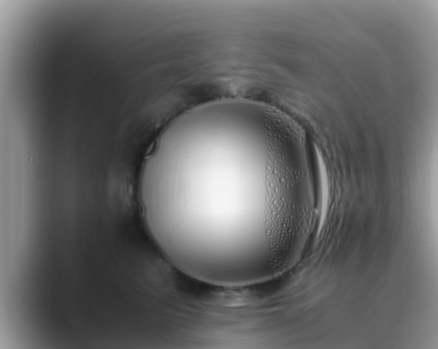 X0000089890615200707051229