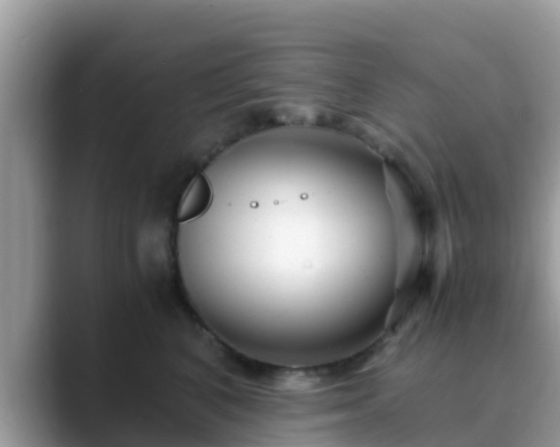 X0000089890616200707051229