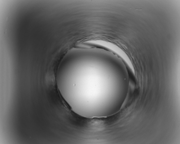 X0000089890617200707051229