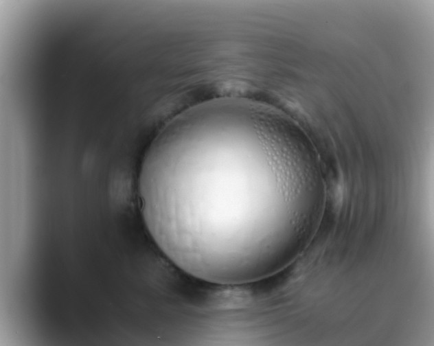 X0000089890619200707051229