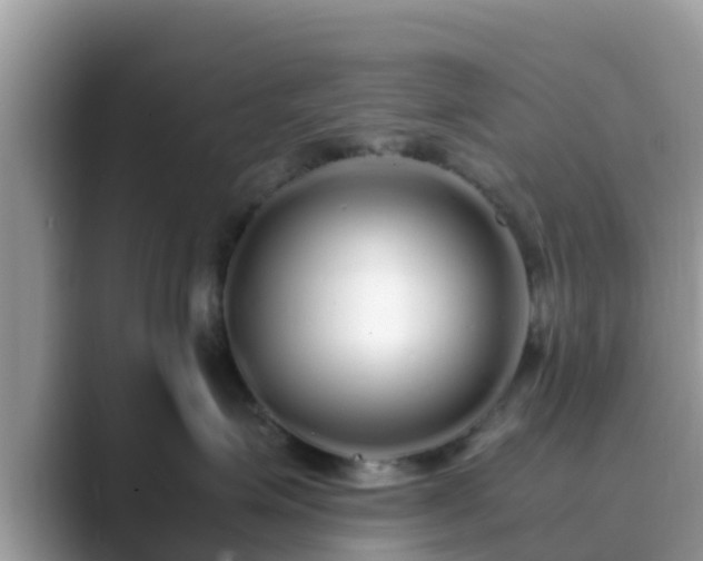 X0000089890623200707051229