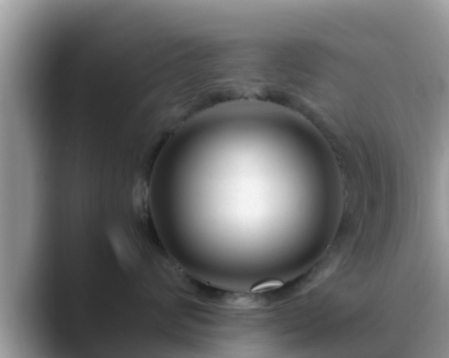 X0000089890624200707051229