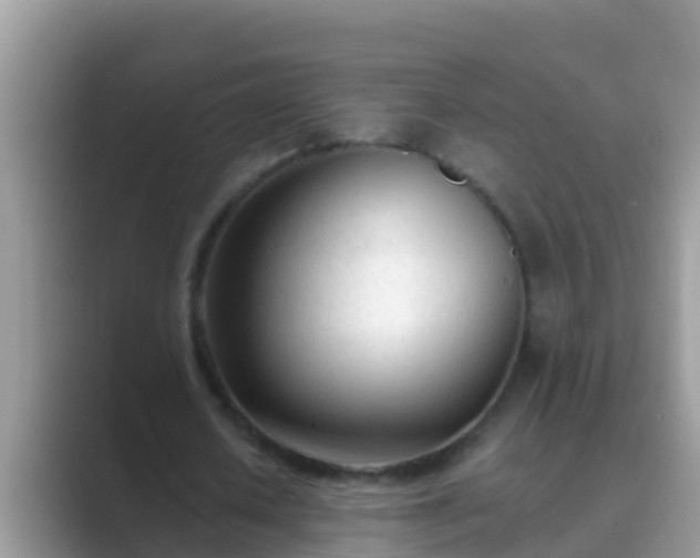 X0000089890626200707051229