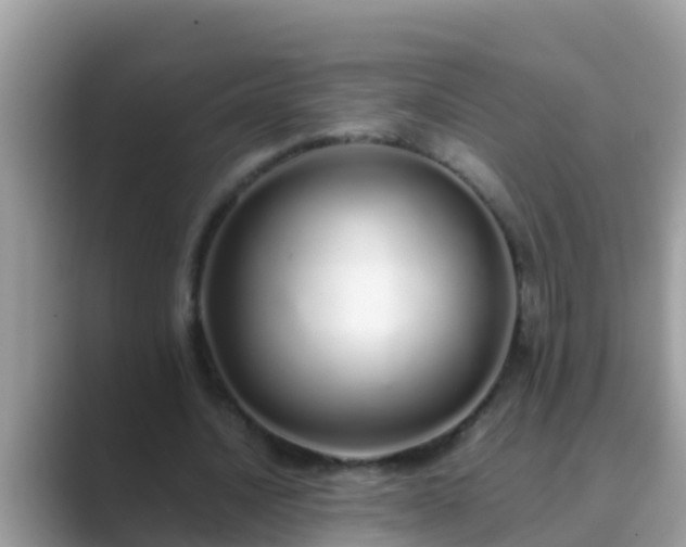 X0000089890628200707051229