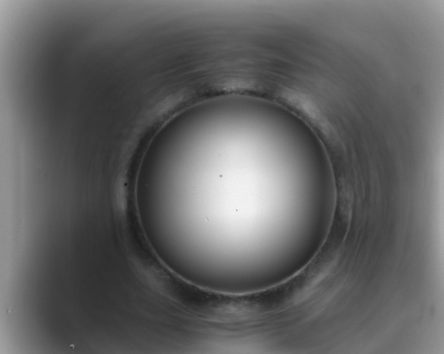 X0000089890631200707051229