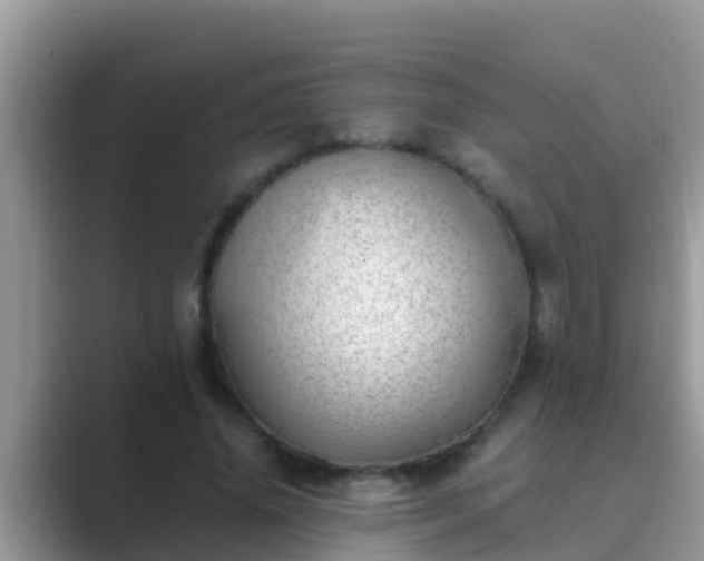 X0000089890636200707051229