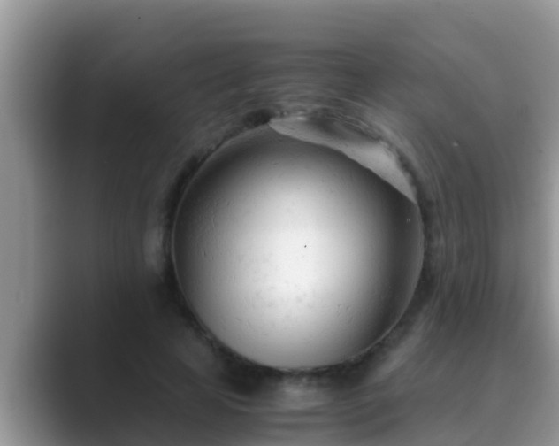 X0000089890641200707051229