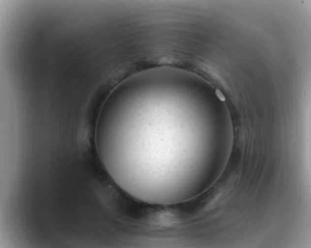 X0000089890643200707051229