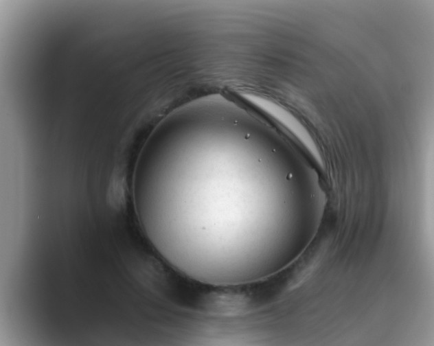 X0000089890644200707051229