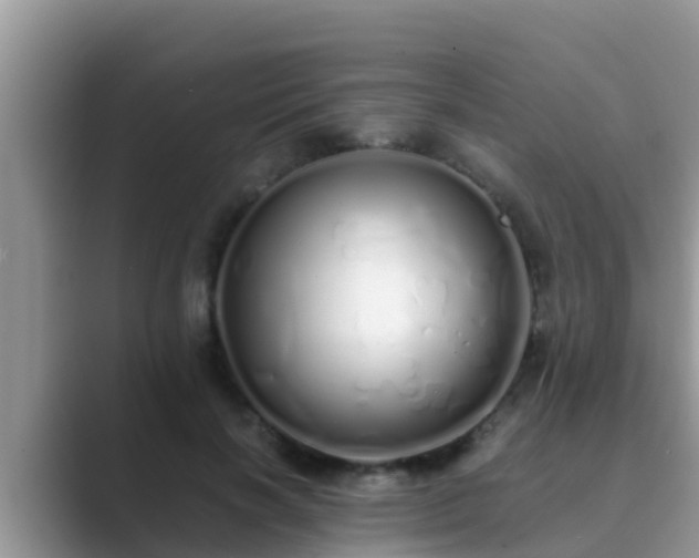 X0000089890646200707051229