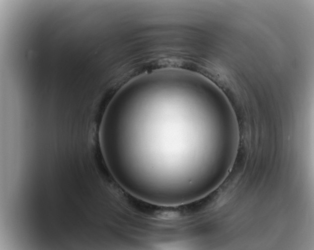 X0000089890649200707051229