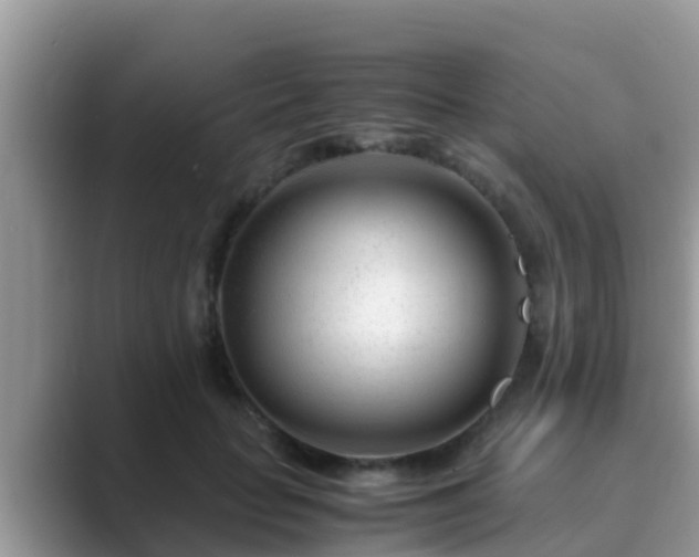 X0000089890653200707051229