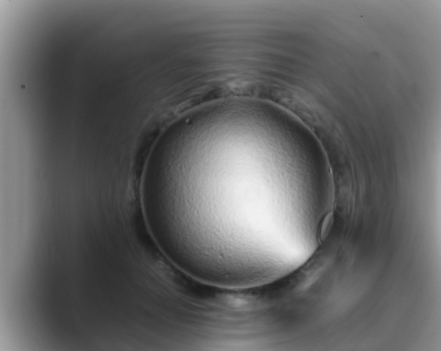 X0000089890654200707051229