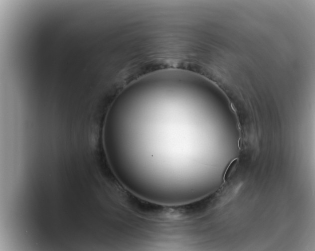 X0000089890656200707051229