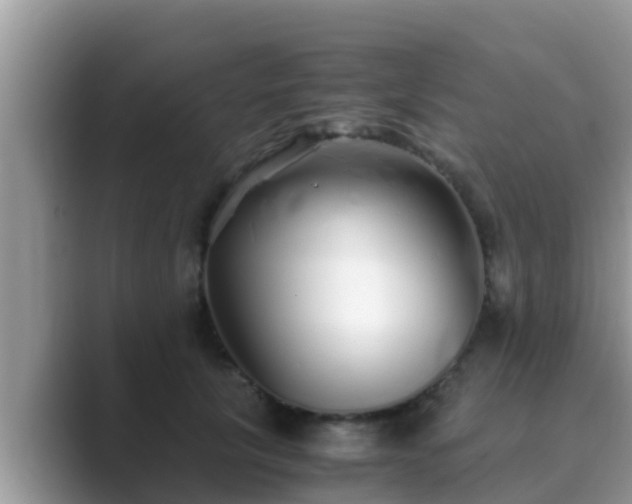 X0000089890657200707051229