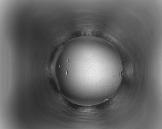 X0000089890661200707051229