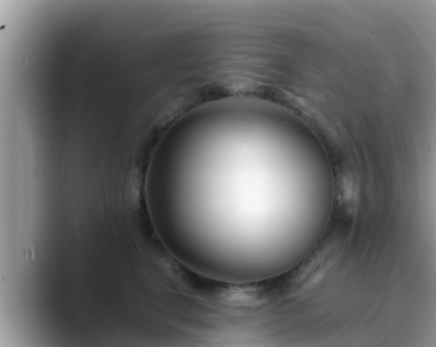 X0000089890664200707051229