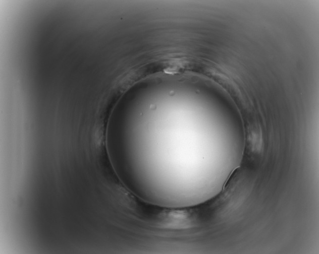 X0000089890665200707051229