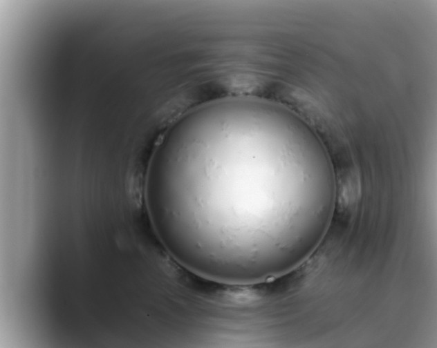 X0000089890666200707051229