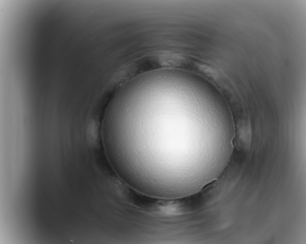 X0000089890667200707051229