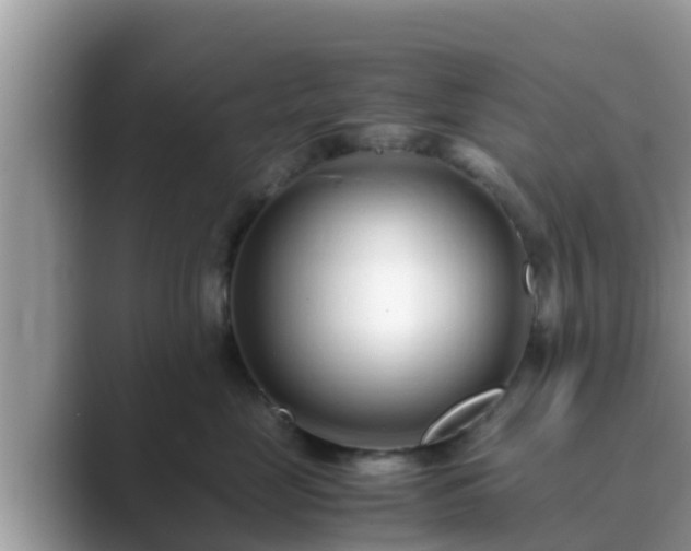 X0000089890669200707051229