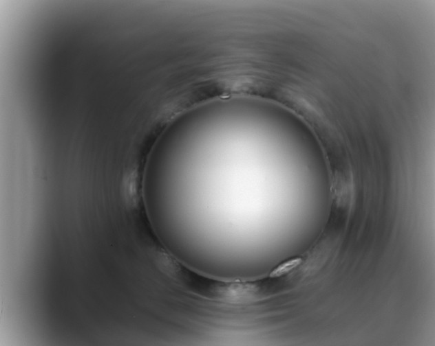 X0000089890670200707051229