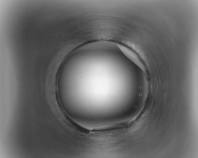 X0000089890673200707051229