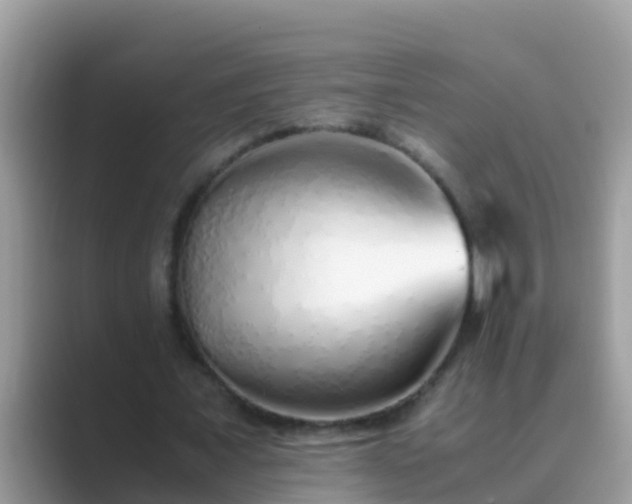 X0000089890675200707051229