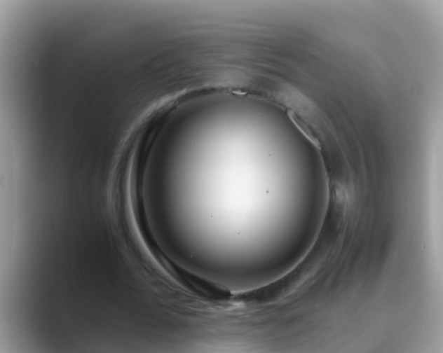 X0000089890676200707051229