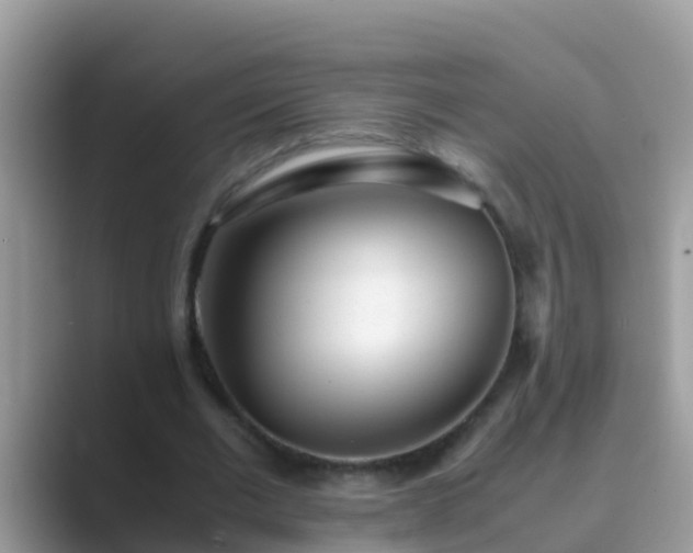 X0000089890677200707051229