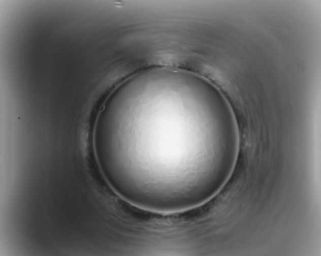 X0000089890679200707051229