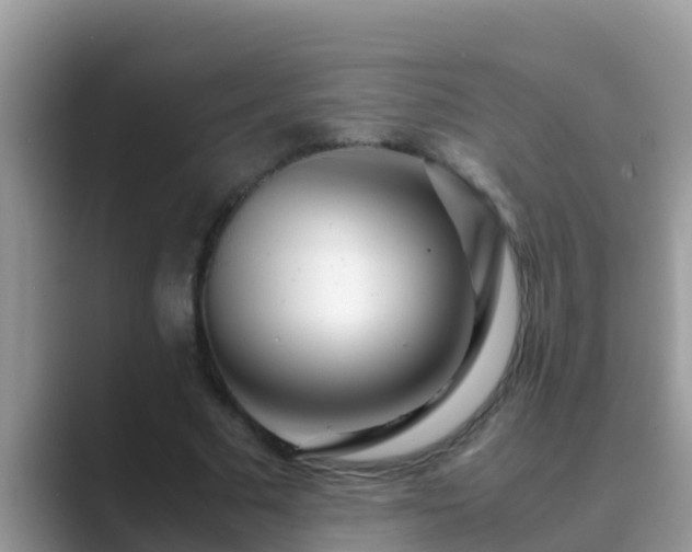 X0000089890681200707051229