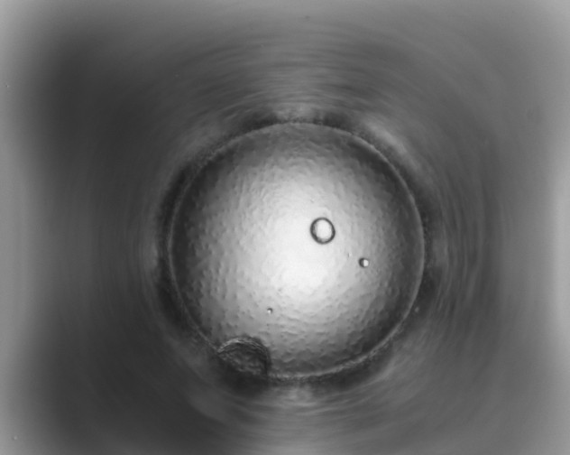 X0000089890687200707051228