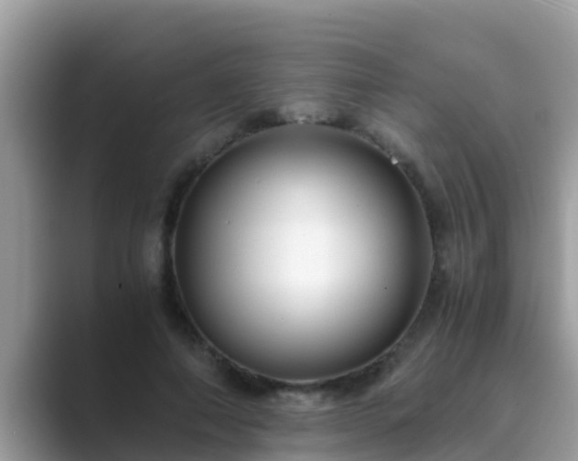 X0000089890690200707051228