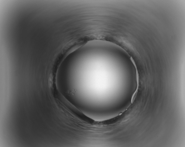 X0000089890693200707051228