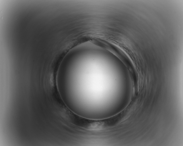 X0000089890700200707051228