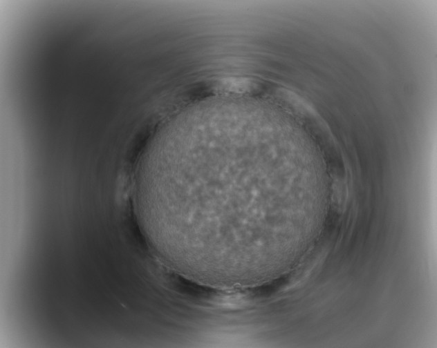 X0000089890701200707051228