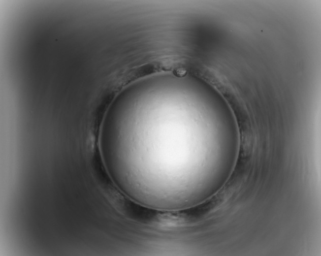 X0000089890703200707051228