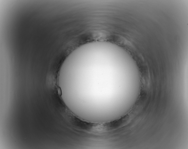 X0000089890705200707051228