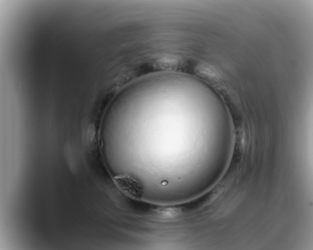 X0000089890711200707051228