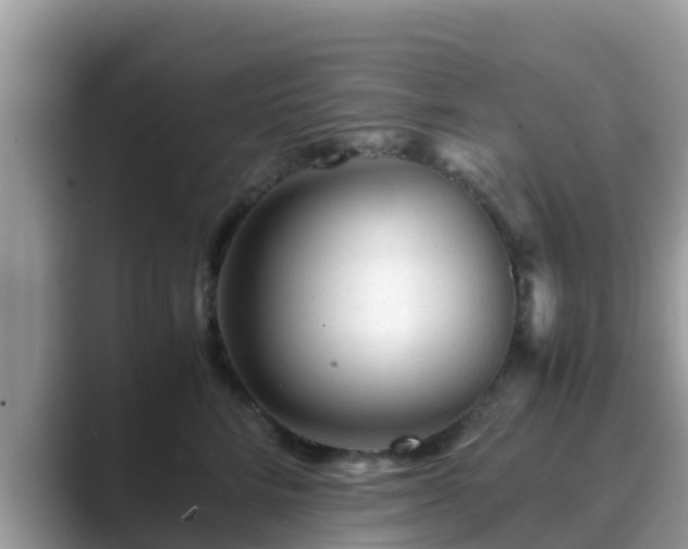 X0000089890712200707051228