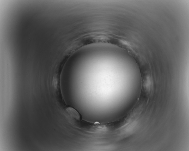 X0000089890715200707051228