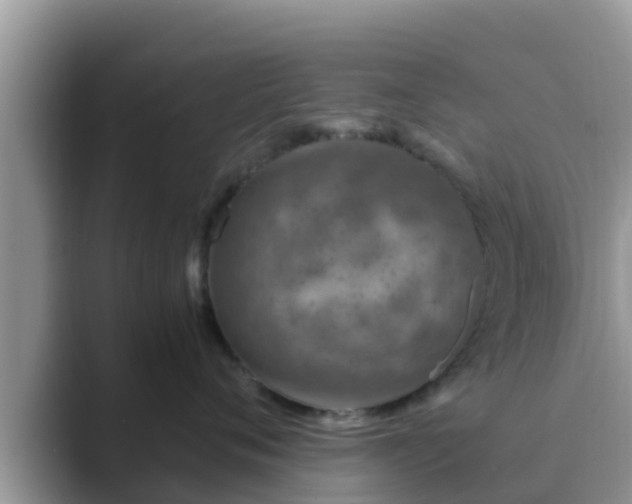 X0000089890720200707051228