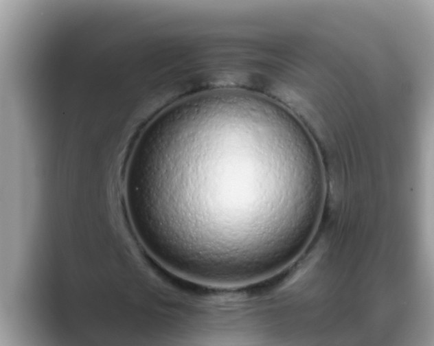 X0000089890721200707051228