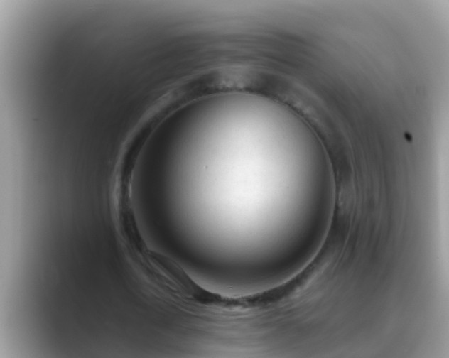 X0000089890722200707051228